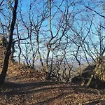 U Kuliska Prievidza