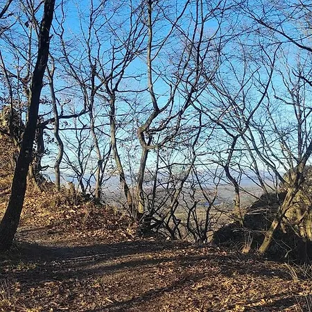 U Kuliska Prievidza